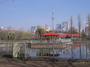 sklfhさんの都立猿江恩賜公園の投稿写真1