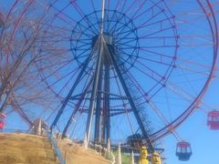 東京ドイツ村の写真1