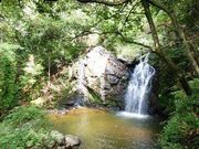 ゆっこさんの竜吟峡の投稿写真1