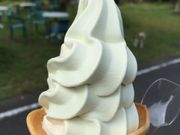 りえまるさんの道の駅 せせらぎ郷かみつえの投稿写真1