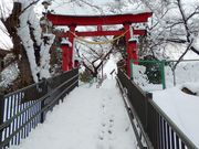 ふじみのニッカボッカーズさんの巽山公園の投稿写真1