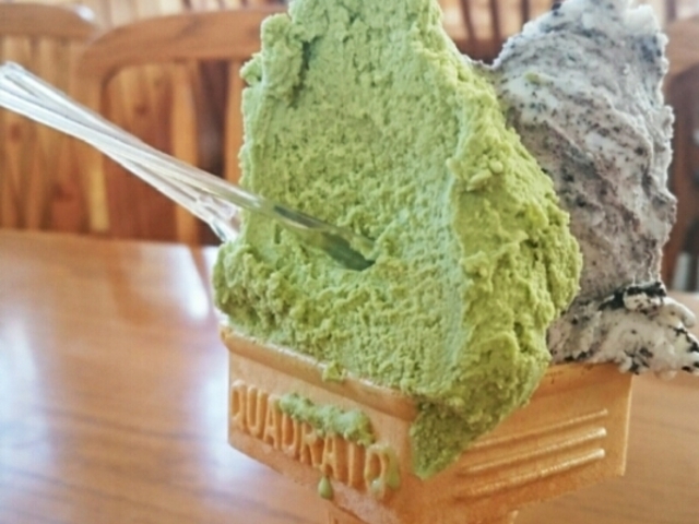 抹茶と確かチョコチップ_アイスクリーム 花茶