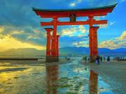 むっちさんの嚴島神社の投稿写真1