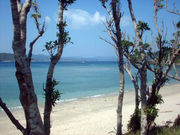 さとちんさんのヤドリ浜の投稿写真1