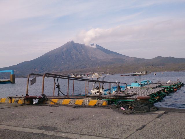 垂水漁港から見る桜島。_味処 桜勘