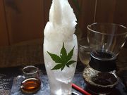 ゆっこさんの橋立川キャンプ場の投稿写真1