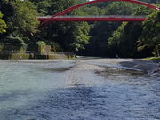 ゆっこさんの入間川の投稿写真1