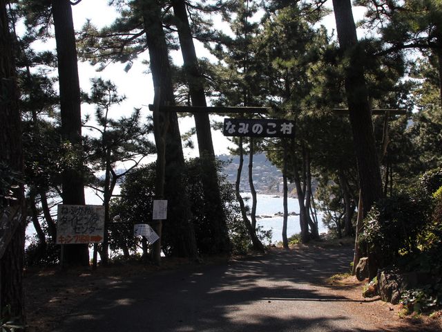 入口_なみのこ村