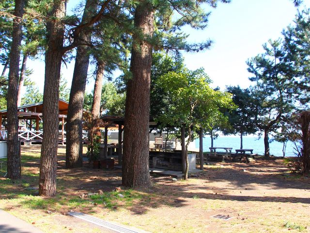 調理場_なみのこ村