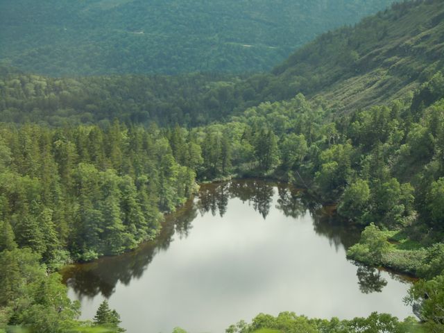 八幡沼_八幡沼