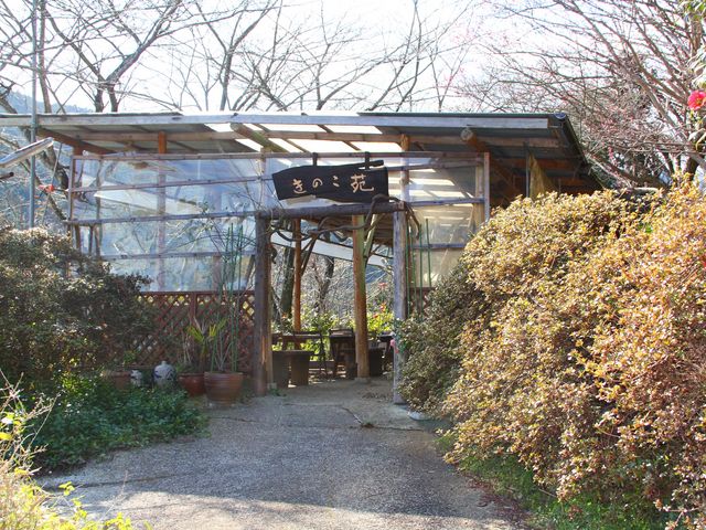きのこ苑_きのこ苑お山のたいしょう
