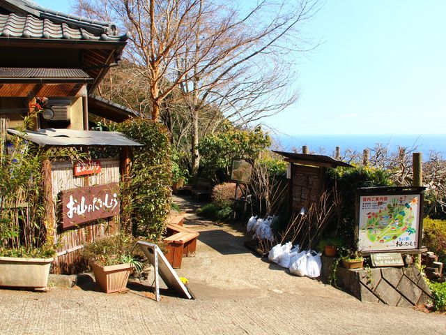 店構え_きのこ苑お山のたいしょう