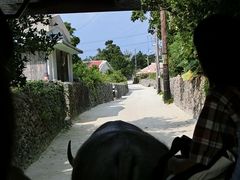 りんさんの水牛車観光への投稿写真1