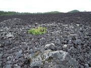 hiroさんの焼走り熔岩流観察路の投稿写真1