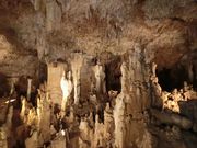 りんさんの石垣島鍾乳洞の投稿写真1