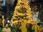 misuzuさんのA16 エーシックスティーンの投稿写真1