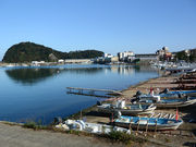 イルカくんさんの香美町香住観光協会の投稿写真1