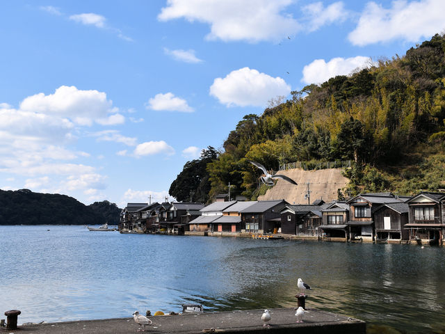舟屋の町並み_舟屋の町並み