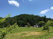 さくらさんの飯地高原自然テント村の投稿写真1