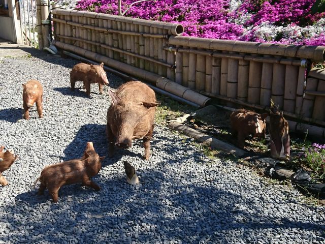 猪の親子 本物かと・・_大道理芝桜