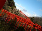 スペックさんの高山稲荷神社の投稿写真2