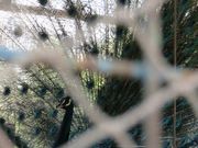 てつきちさんの天然温泉石道の投稿写真2