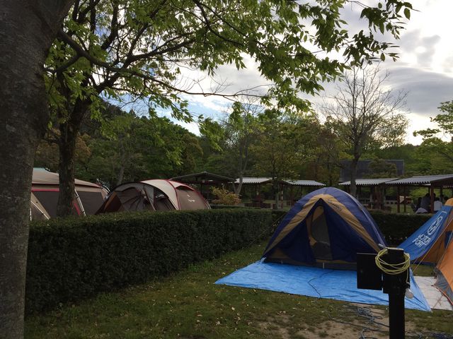 キャンプ場_グリーンパーク山東