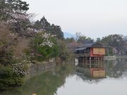 イザックさんの長岡天満宮 八条ヶ池の投稿写真1