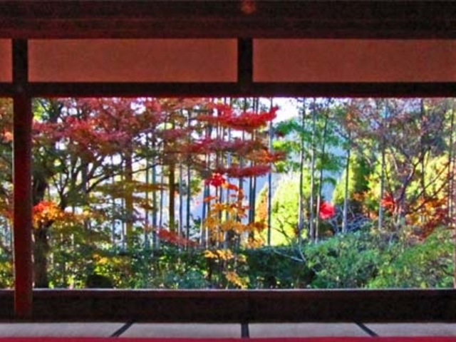 紅葉_宝泉院