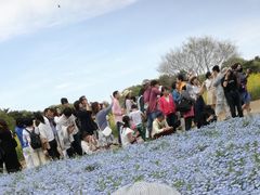 国営ひたち海浜公園の写真1