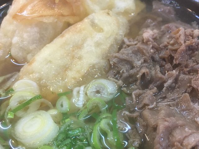 肉ごぼううどん_うどん平