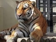 アーキさんの京都市動物園の投稿写真1