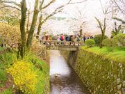 えりりりんさんの哲学の道の投稿写真1
