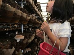 miiさんの一般社団法人花巻観光協会への投稿写真1
