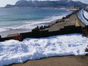 赤マジック1986さんの啄木小公園の投稿写真3