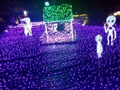 伊豆ぐらんぱる公園の写真1