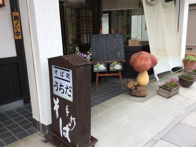 謎のきのこ。_うちだ