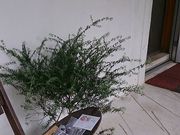 kijimunarさんの宗像堂ベーカリーの投稿写真1