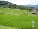 hekokimanさんの姨捨への投稿写真3