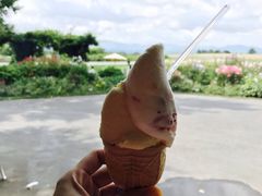 レークヒルファームの写真1