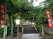 kateさんの白鳥神社の投稿写真1