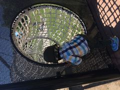 笛吹川フルーツ公園・フルーツセンターの写真1