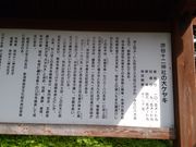 北風さんの赤谷十二神社の大けやきの投稿写真2