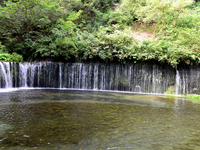 白糸の滝_白糸の滝