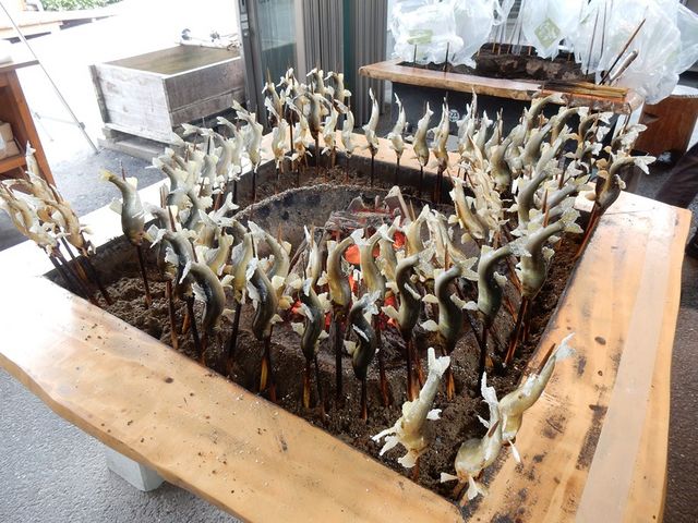 炭火焼_道の駅古今伝授の里やまと・くつろぎ広場