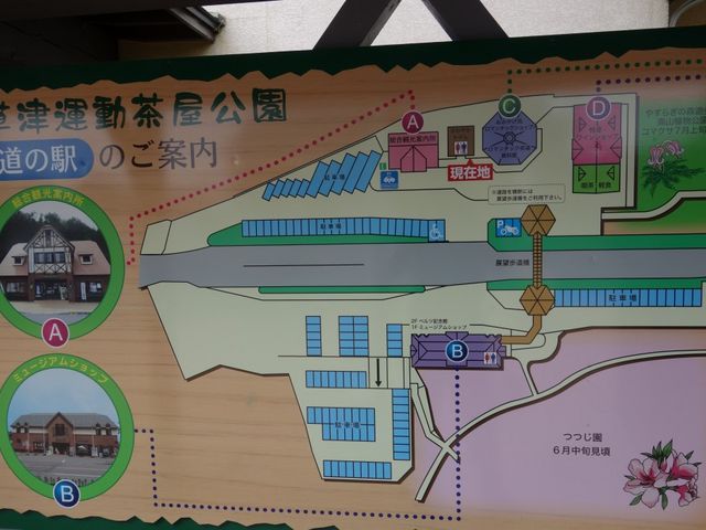 道の駅 案内図_運動茶屋公園
