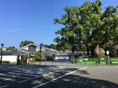 桜の馬場 城彩苑総合観光案内所の写真1