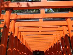 水前寺成趣園の写真3