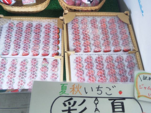 『夏秋いちご「彩夏」』。_グレンパークさわんど