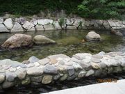 じそんさんのふれあい手形散歩道の投稿写真1